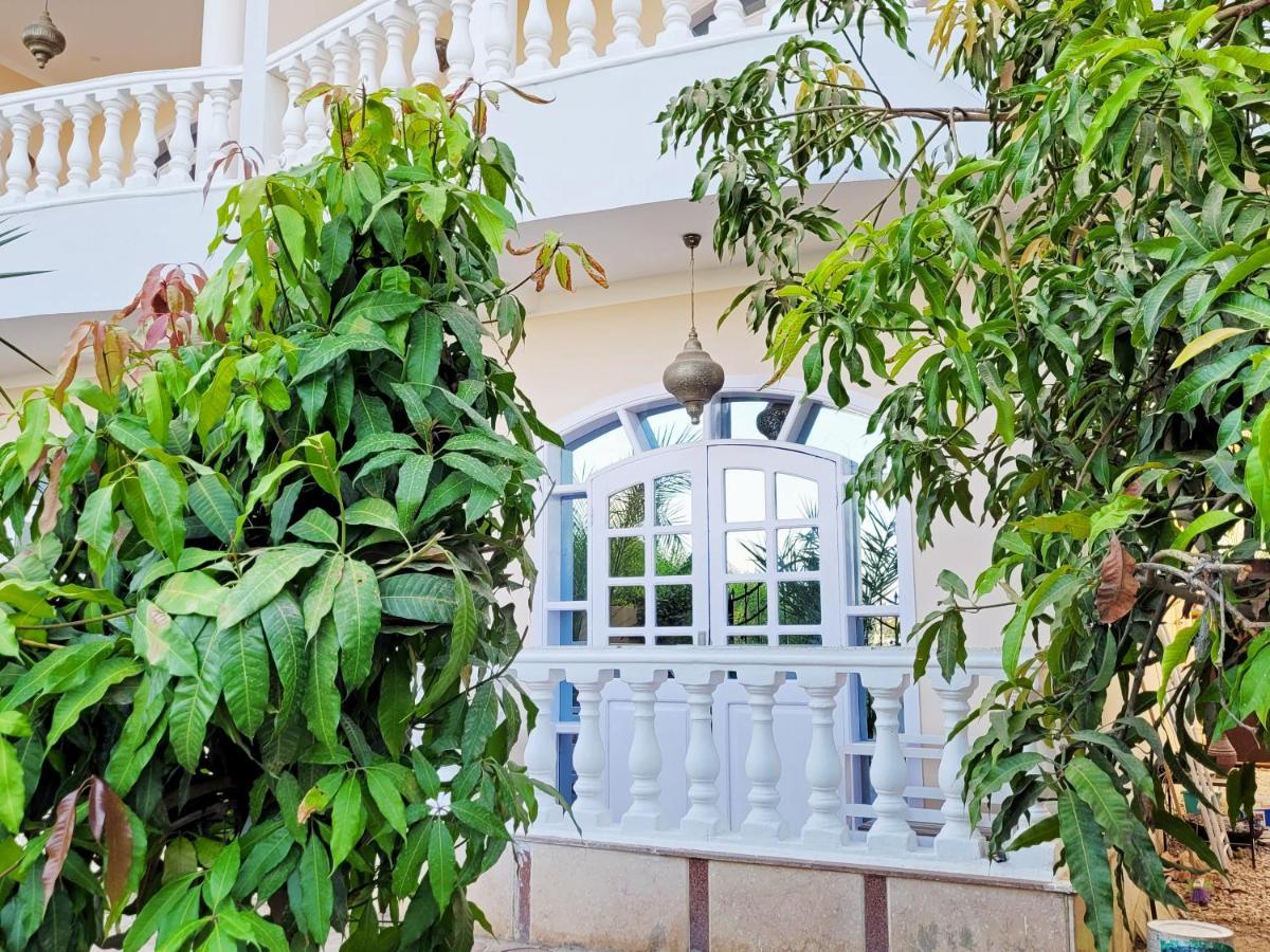 In Nile Луксор